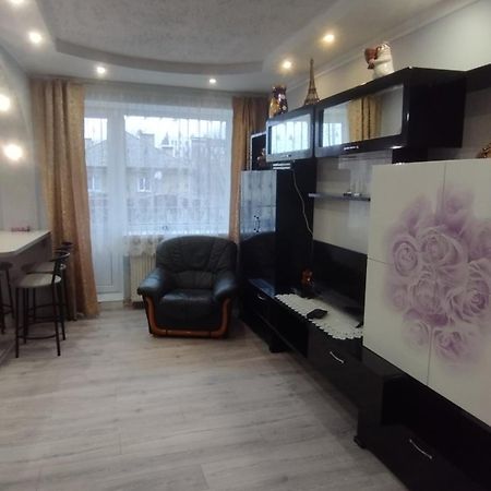 Дизайнерська Квартира У Центрі Міста Uzhhorod Ngoại thất bức ảnh